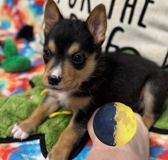 Photo of Baby Billy