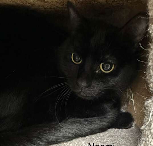 Photo of Naomi