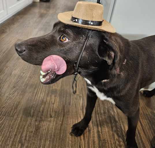 Photo of Willie