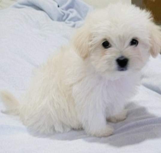 Photo of ASPEN