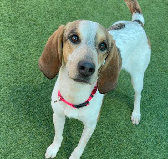 Photo of Brooklyn A2187429