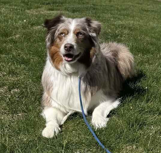 Photo of Bella