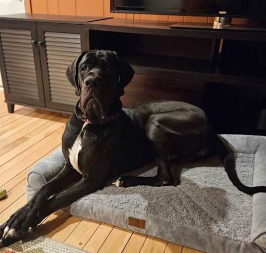 Photo of Chase