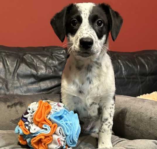 Photo of HUGO
