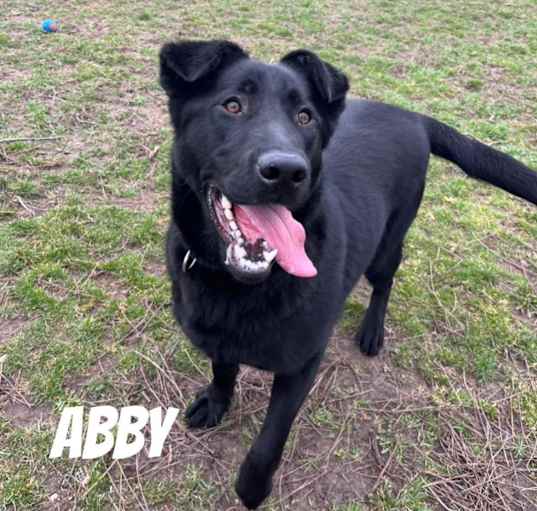 Photo of Abby