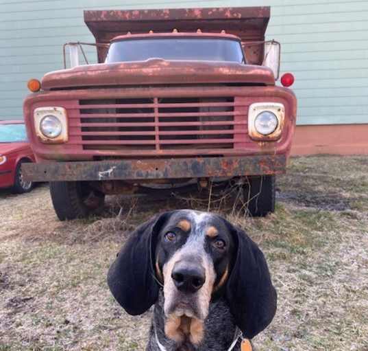 Photo of Kip