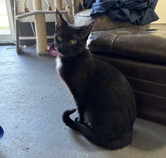 Photo of Marty