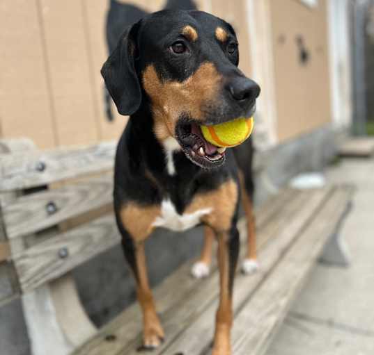 Photo of Jinx