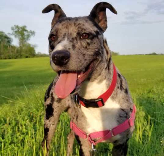 Photo of Kiara