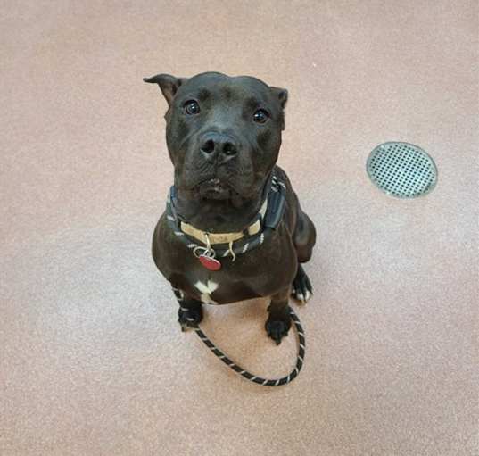 Photo of BANJO