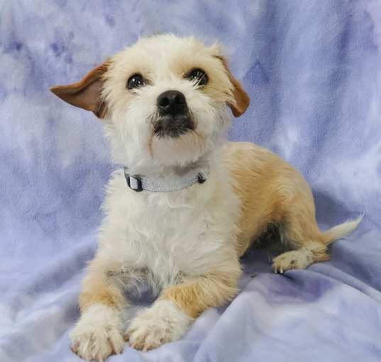 Photo of MARY KATE (MK)