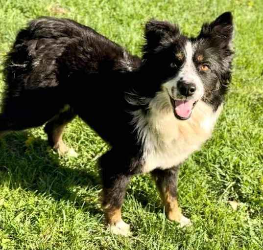 Photo of Sadie Skye