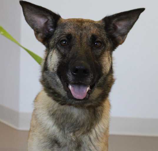 Photo of Thalia