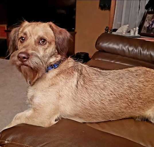 Photo of Gunther-Courtesy post