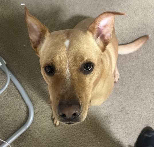 Photo of Zeus
