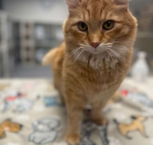 Photo of Fred