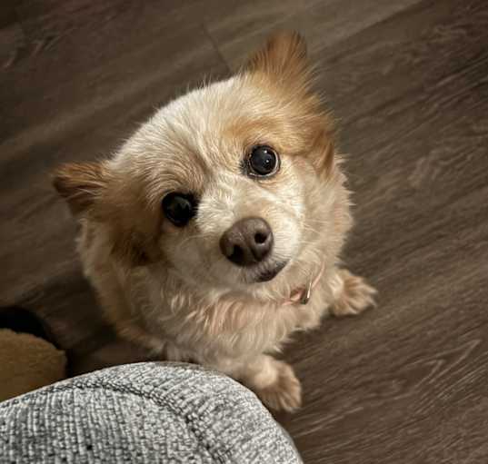 Photo of Little Bit