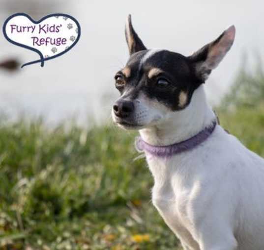 Photo of Freya