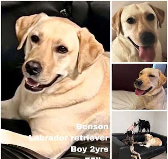 Photo of Benson from Korea