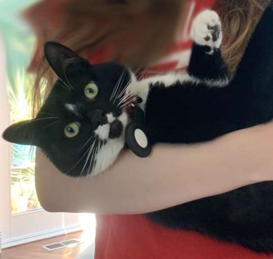 Photo of Bookitty
