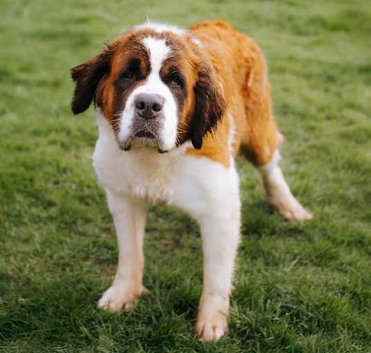 Photo of Sandy