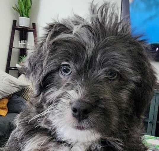 Photo of AGATHA
