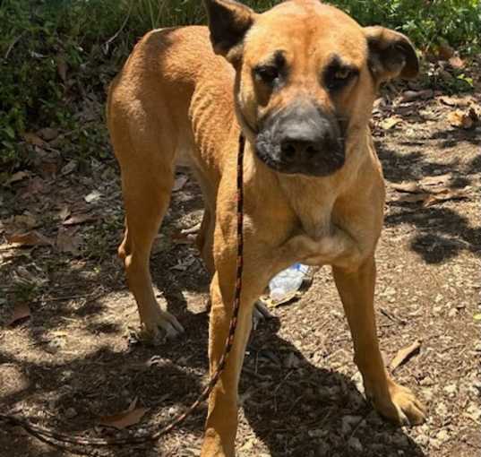 Photo of LUCY