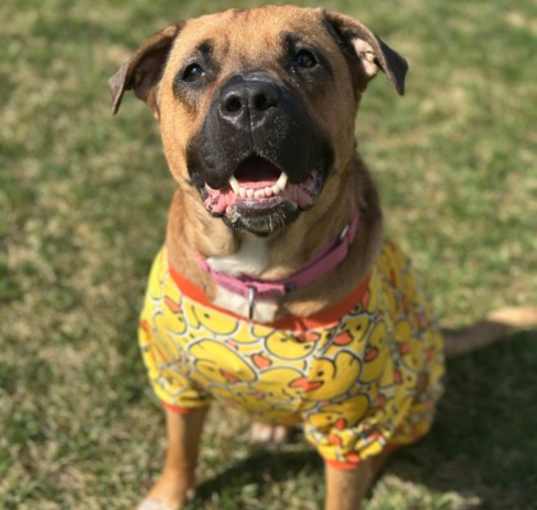 Photo of Holly