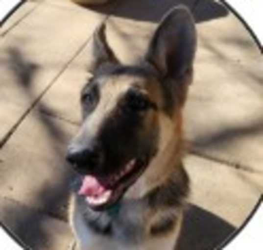 Photo of Luna