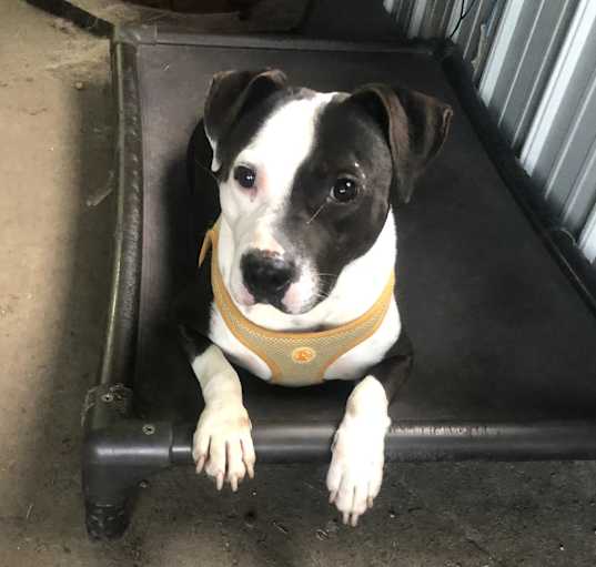 Photo of Zeus