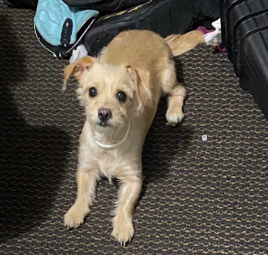 Photo of Deenie