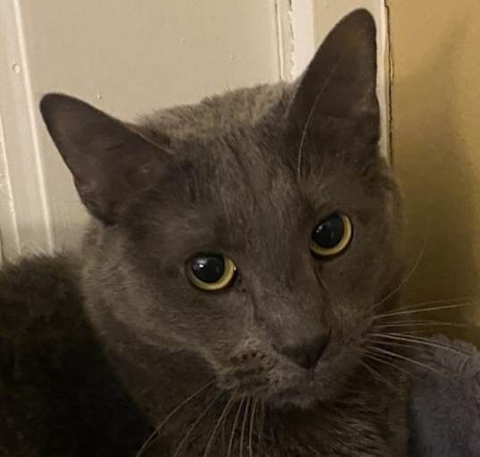 Photo of Zeus