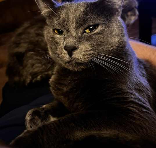 Photo of Hades