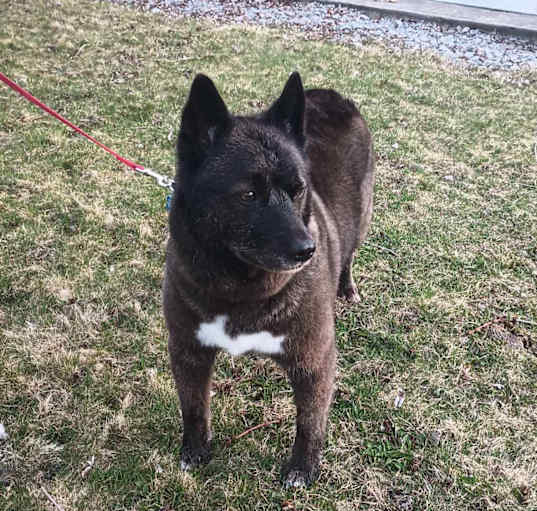 Photo of Tula