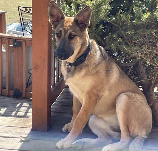 Photo of Mila