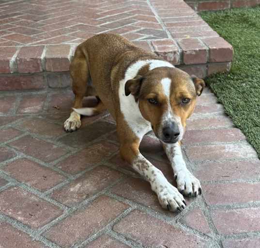 Photo of Jackie
