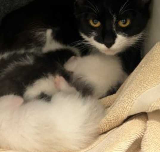 Photo of Mama