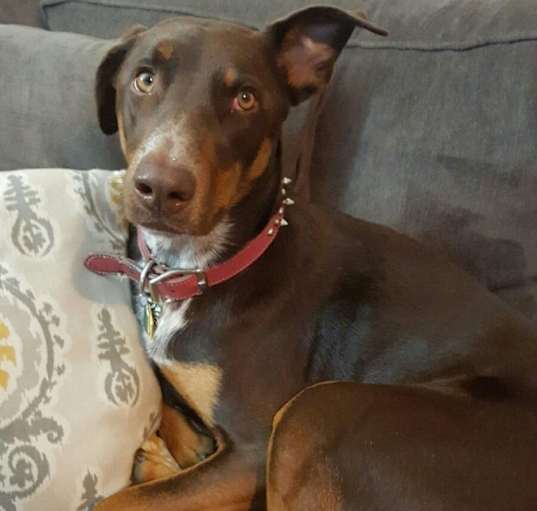 Photo of Zena