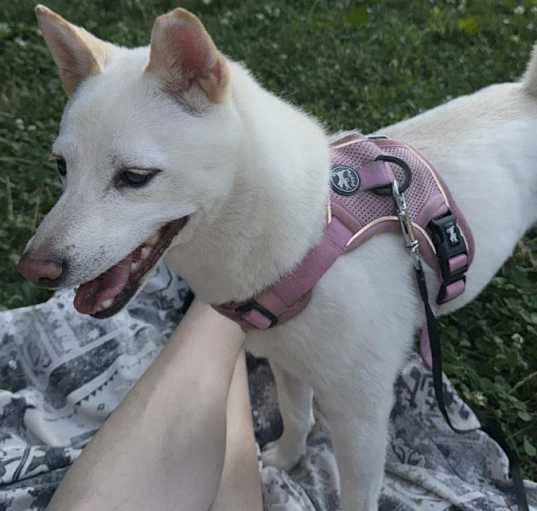 Photo of Kila