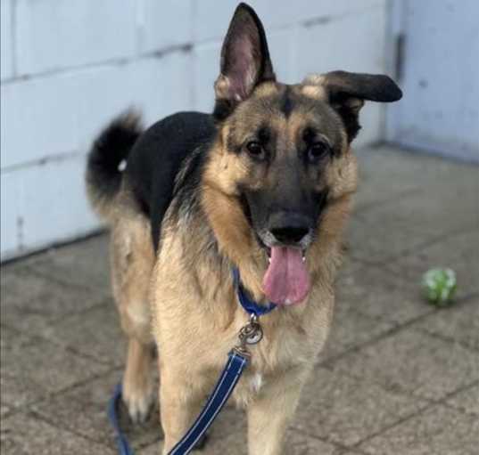 Photo of Max
