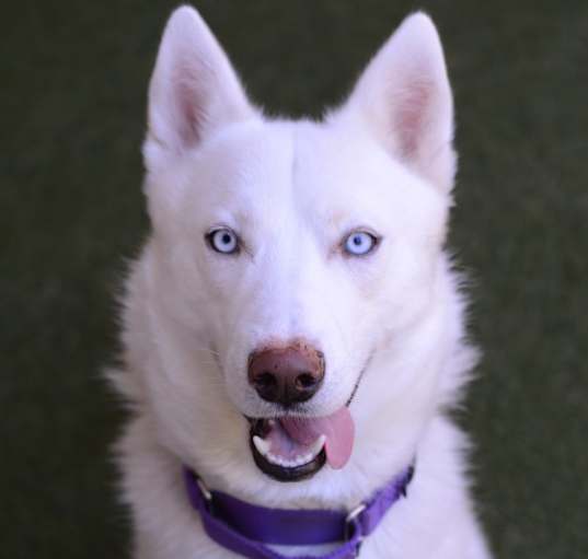 Photo of Angel