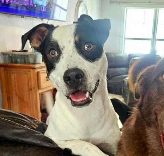 Photo of **CASPER**