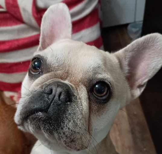 Photo of Precious