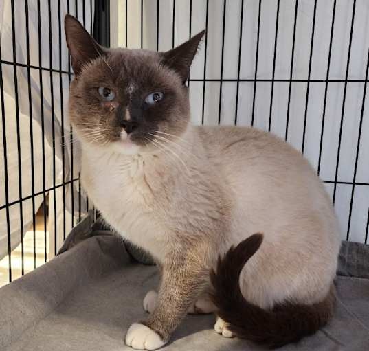 Photo of Aslan