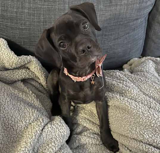 Photo of Betty