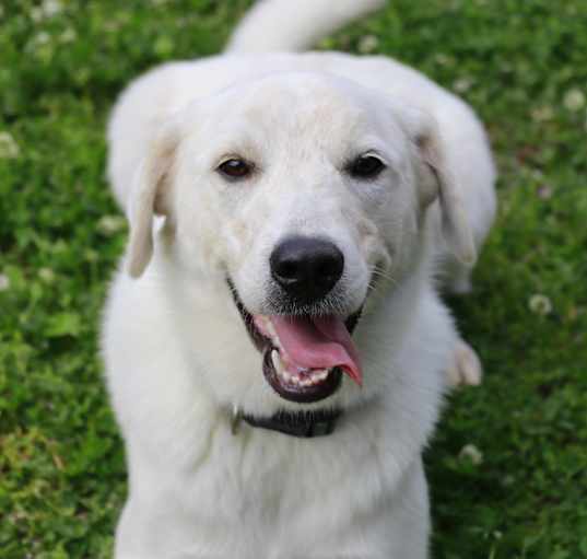 Photo of GHOST