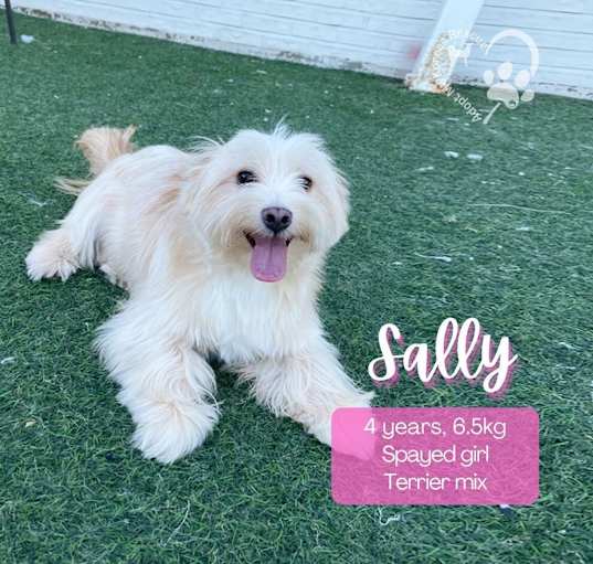 Photo of Sally