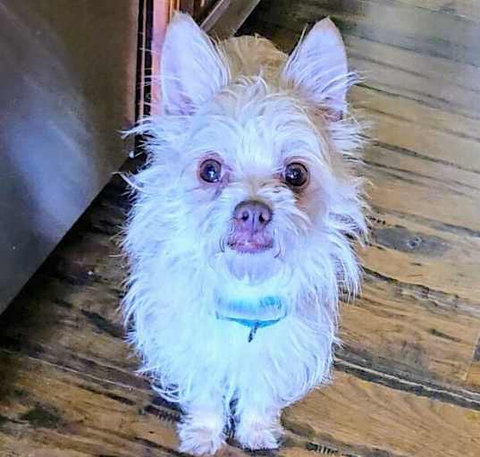 Photo of Lizzy
