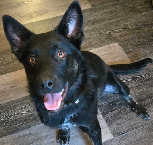 Photo of Silverado