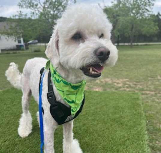 Photo of Brody